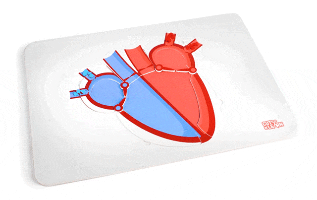 Heartbeat