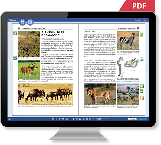 PDF эсвэл HTML