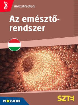 Book MS-6706-HU
