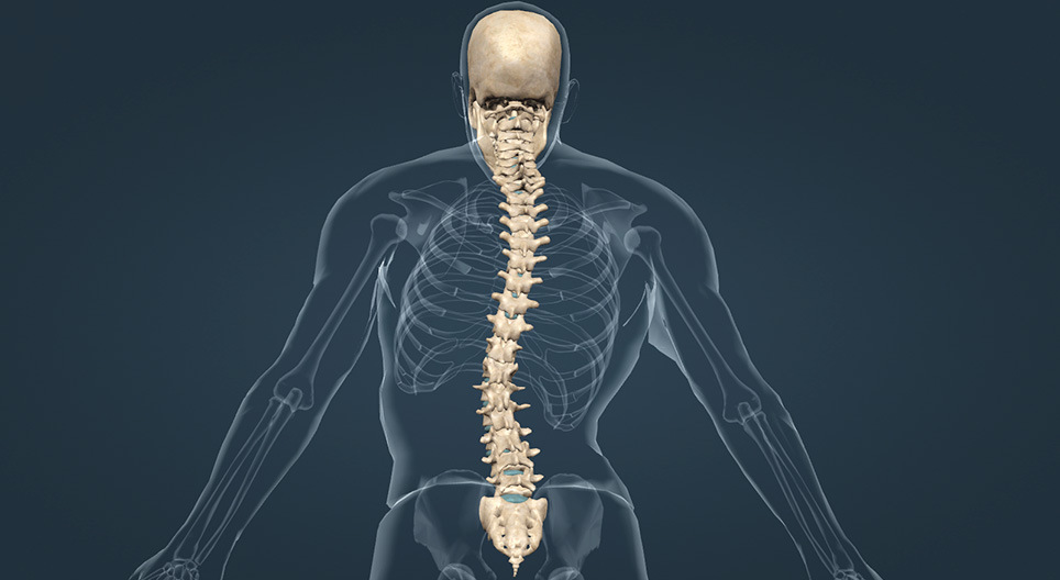 Types of spine curvature disorders