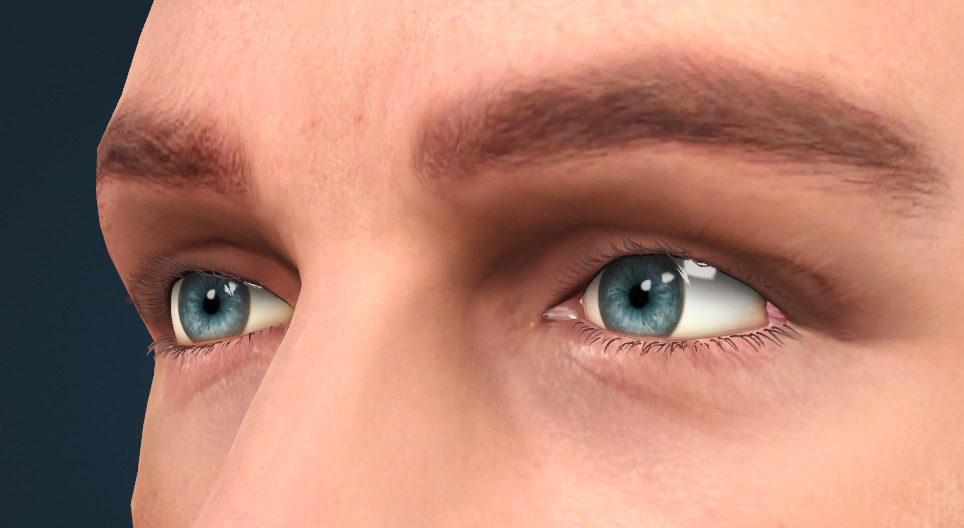 The human eye