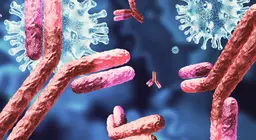 The immune system