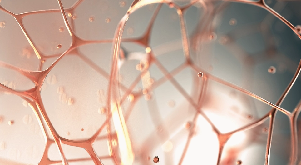 Viscoelastic behaviour of the connective tissues