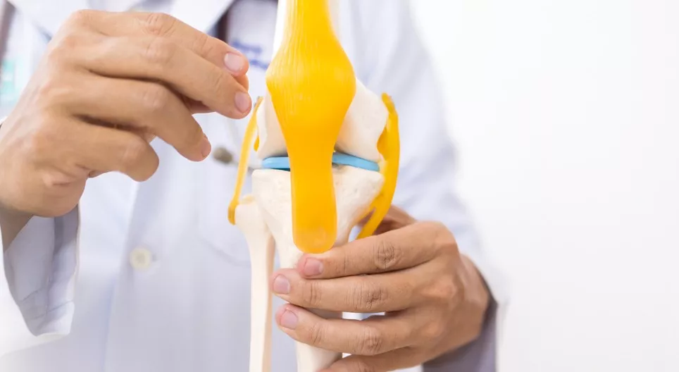 Biomechanical characteristics of tendons and ligaments